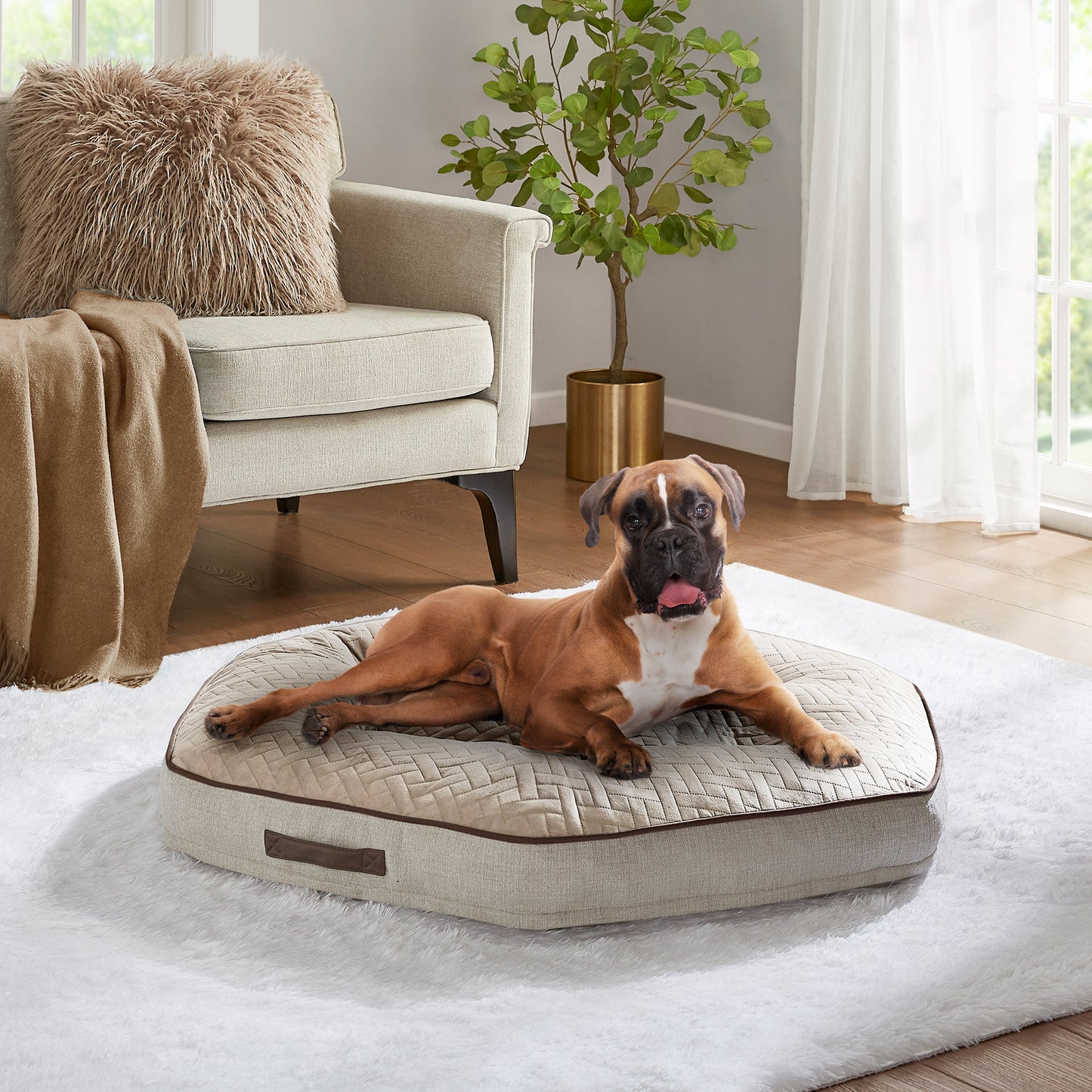 42" Hexagon Pet Napper